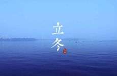 孕妇梦到鲨鱼是胎梦吗