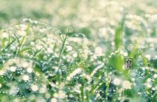 为什么说白露节气已是真正凉爽季节的开始 白露的传统美食是什么