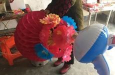 清明时鲜菜是什么 清明节气吃什么蔬菜