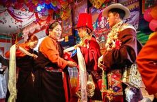 83年属猪婚姻状况 83年属猪人最佳结婚年龄