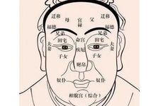 身上有凤凰仙的面相有什么特征？