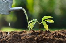 2023年数九寒天几九最冷 数九天哪个九最冷2023