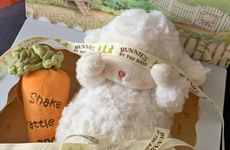 1979年属羊人最难熬年龄 79年属羊人42岁特别痛苦