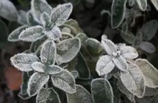 梦见保险怎么回事 梦见保险有什么预兆