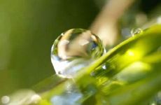 2022年寒露日子好吗 可以做什么？寒露有什么民俗活动？