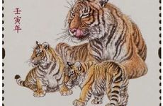 历史上谁属虎 都有些什么个人成就