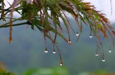 生财有道，事业成财路开，进展顺利3星座