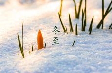 立冬和冬至为什么都吃饺子 立冬和冬至吃饺子吗