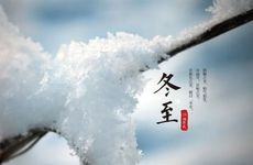 梦见煮大龙虾　周公解梦之梦到煮大龙虾