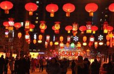 梦见杜松树怎么回事 梦见杜松树有什么预兆