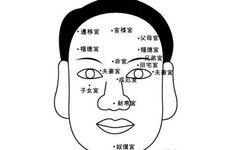 分析有福的女人面相图解