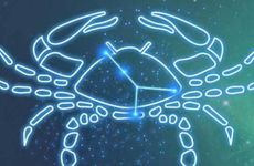 梦见马蜂周公解梦，梦见马蜂是什么意思？