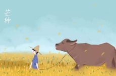 芒种节气的民间习俗及传统美食