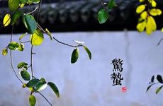 塔罗测试2024你的幸运会在何时到来?