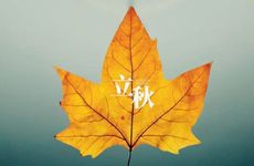 2024年立秋在三伏天的中伏吗 2024中伏时间表解析