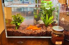 家财万贯的院子风水