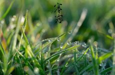 寒露节气谚语 二十四节气之关于寒露的谚语大全