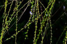 梦见涂口红周公解梦，梦见涂口红是什么意思？