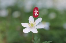 2023年立春时间几点几分几秒钟 立春吃什么传统食物