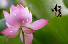 属相相冲一览 2023年7月28日冲什么属什么生肖