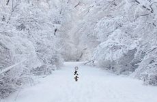 南方大雪节气时吃什么