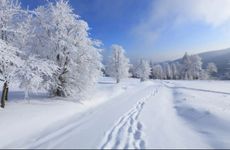 北方小雪节气吃什么