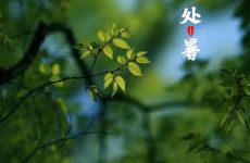 梦见和表妹去废弃的建筑里弄花草