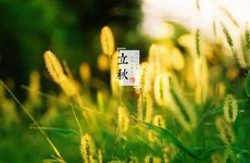 梦见树林怎么回事 梦见树林有什么预兆