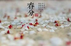 春分节气为什么要送牛肉 耕种繁忙粮食丰收