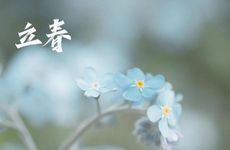 喜欢挑战和征服，最喜欢女强人的三大星座