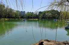 梦见腋窝怎么回事 梦见腋窝有什么预兆