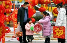 ​​在祭坟墓时发现坟碑上有蚂蚁窝其吉凶如何？