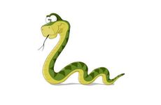 2024年属蛇的大灾之年 属蛇人今年经济压力大有破财危机