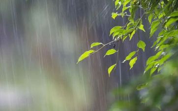 2023年2月19日雨水搬家日子好吗 2023年2月19日这天乔迁搬新家好不好