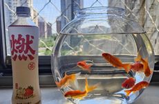 夫妻不和睦风水原因