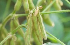 2022年农历八月二十五日子宜忌,可以理发么