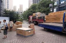 孕妇做梦梦到猫什么意思 孕妇梦见猫预示男女