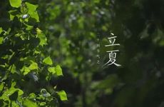 梦见海浪是胎梦吗