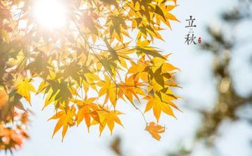 梦见理发师给我换发型什么意思