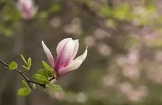 2022立春必须在家过吗