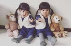 姓秦的明星有哪些