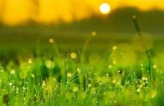 2023白露节气过后天气会凉快吗