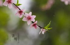 喜欢沉浸在内心世界的星座男