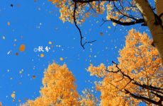 梦见亲人坠楼是什么意思 梦见亲人坠楼有什么征兆