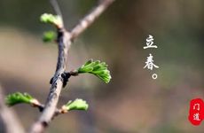 立春南北吃什么