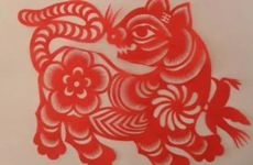 老虎和什么属相合作最好 老虎和什么属相相合