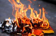 孕妇梦见玫瑰花意味着什么