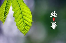 2023年处暑的风俗汇总