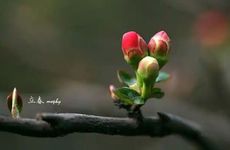 2023年立春是几九第几天