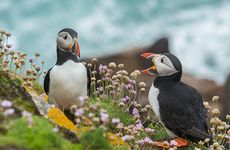 立春是什么意思呢 立春有哪些习俗